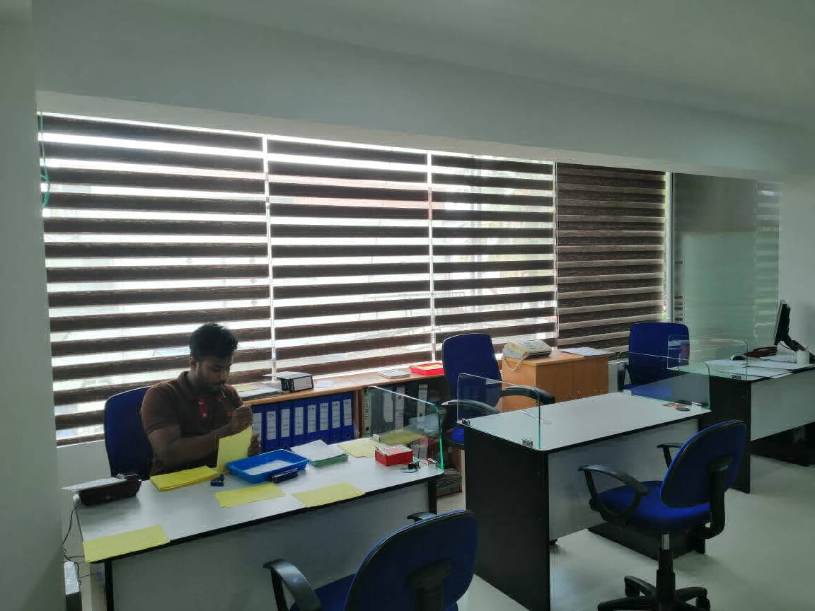 Zebra Blinds