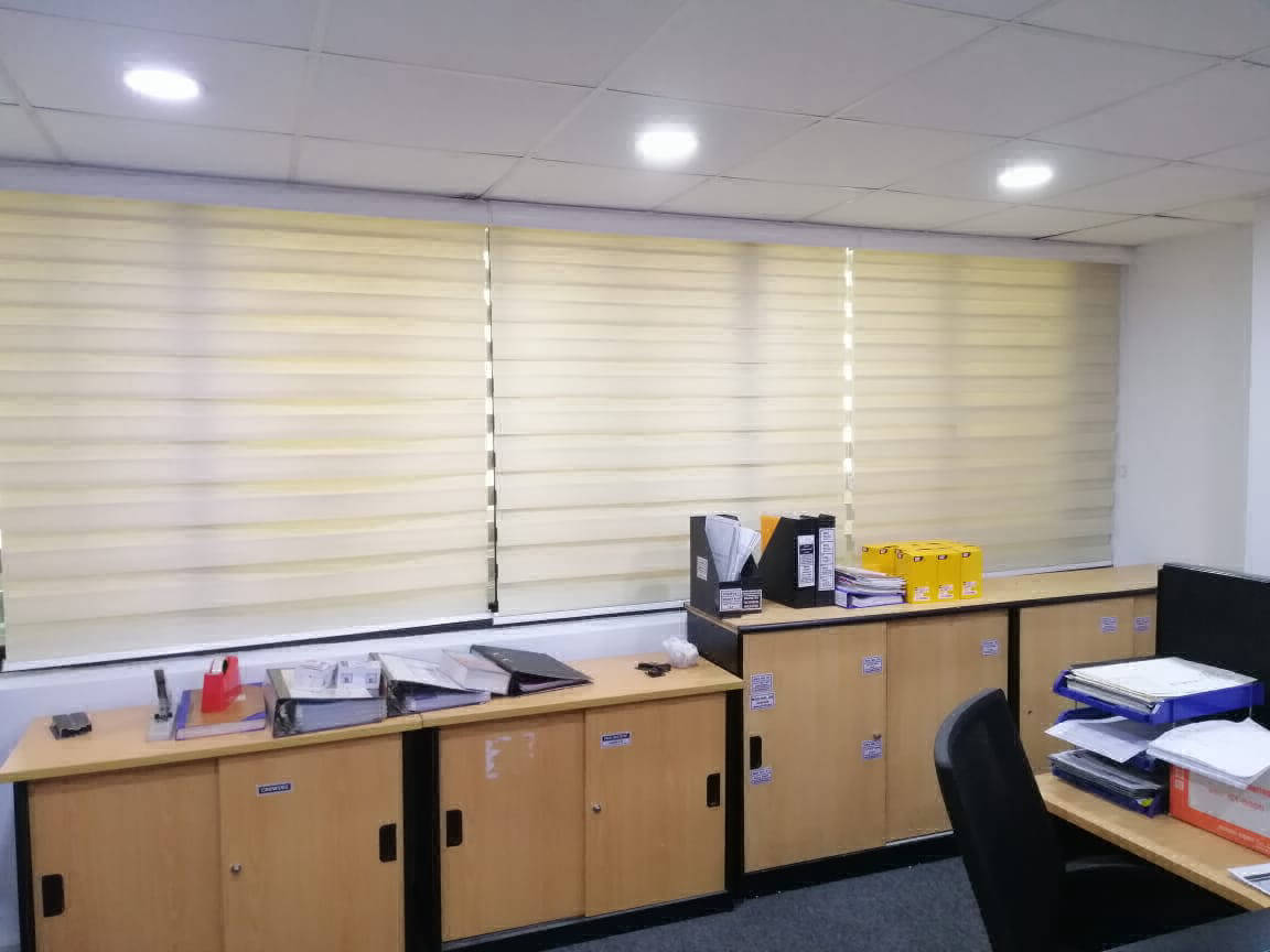 Zebra Blinds