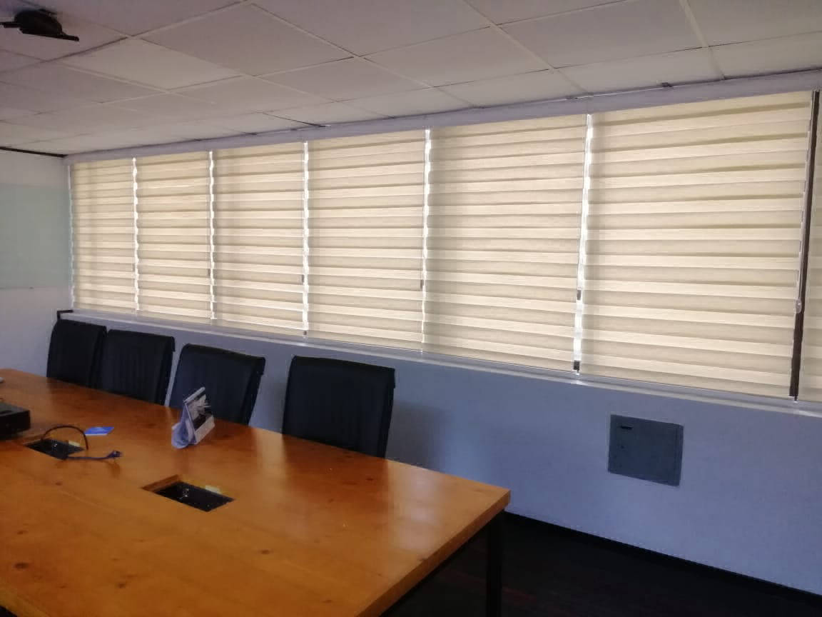 Zebra Blinds